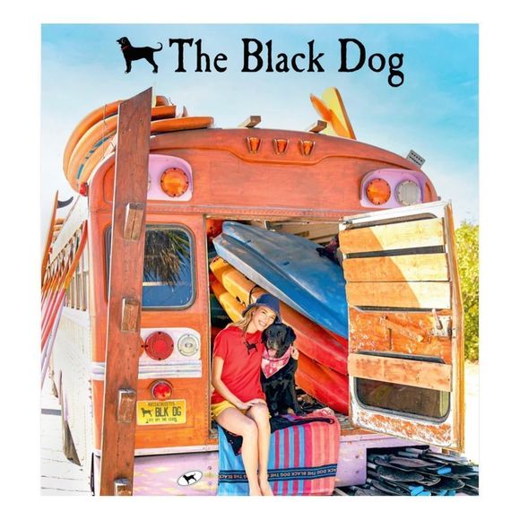 The Black Dog Men’s V-Neck T-Shirt. Coral. Large - Picture 15 of 15